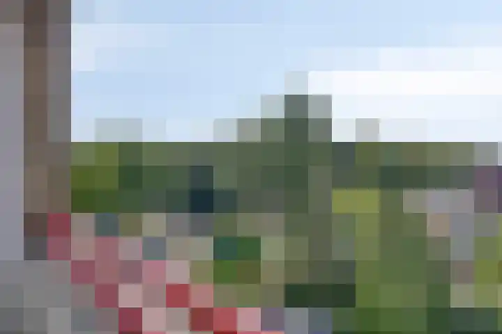 Simon Stevinlaan 24 Soesterberg thumbnail 18