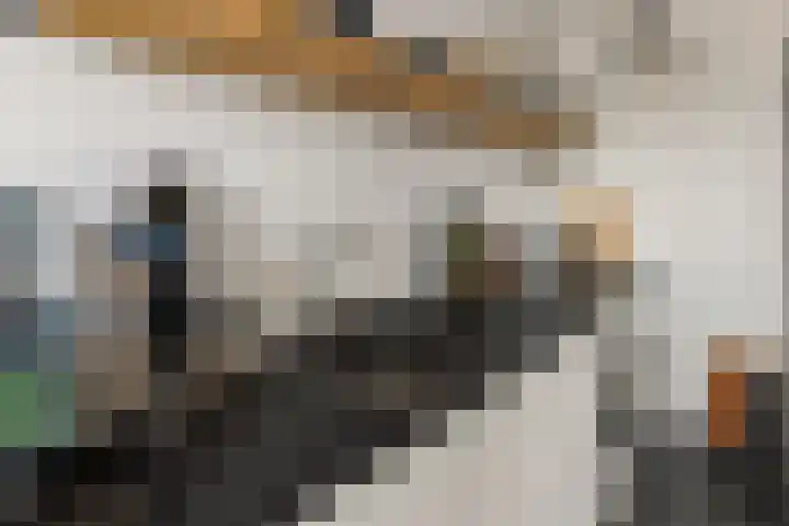 Simon Stevinlaan 28 Soesterberg thumbnail 11