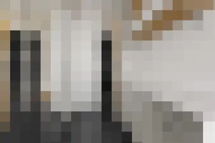 Simon Stevinlaan 28 Soesterberg thumbnail 21