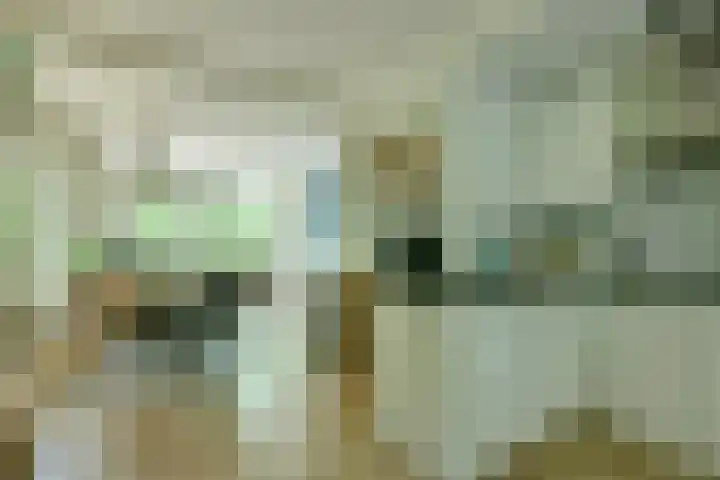 Simon Stevinlaan 91 Soesterberg thumbnail 10