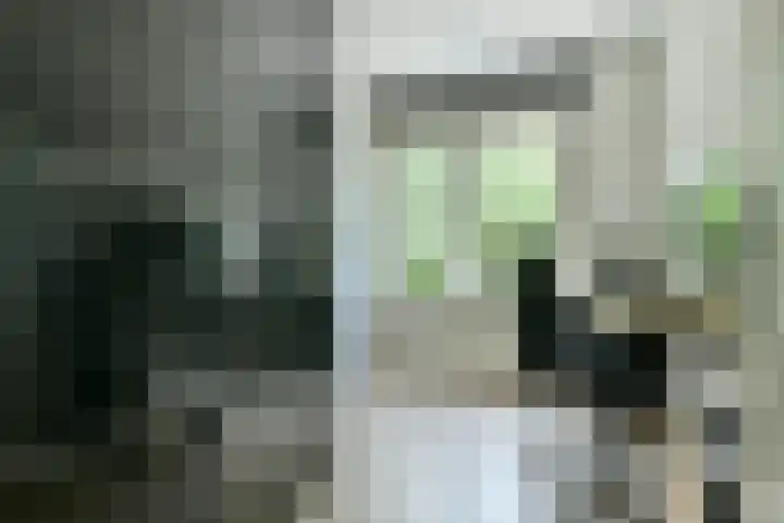 Simon Stevinlaan 91 Soesterberg thumbnail 13