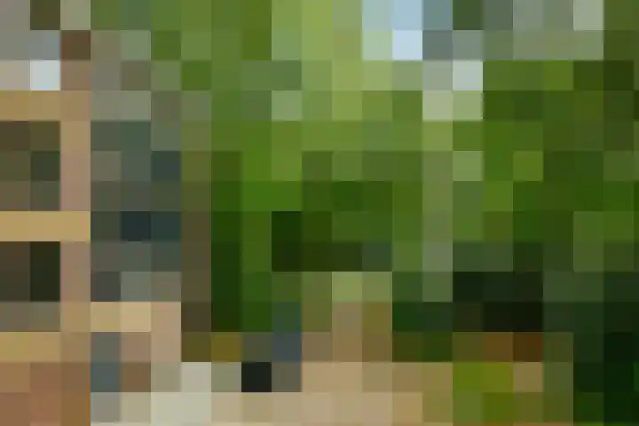 Simon Stevinlaan 91 Soesterberg thumbnail 19