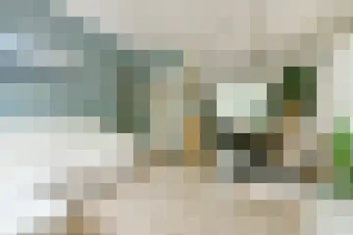 Simon Stevinlaan 91 Soesterberg thumbnail 4