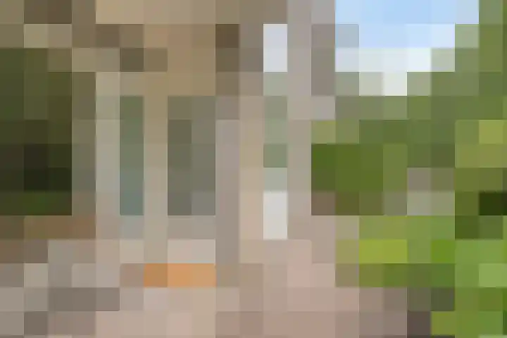 Simon Stevinlaan 96 Soesterberg thumbnail 6