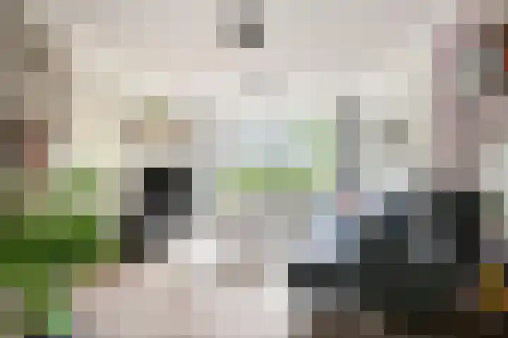 Simon Stevinlaan 96 Soesterberg thumbnail 8