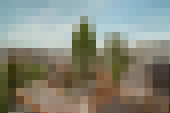 Simon Stevinstraat 10 3 Amsterdam thumbnail 24