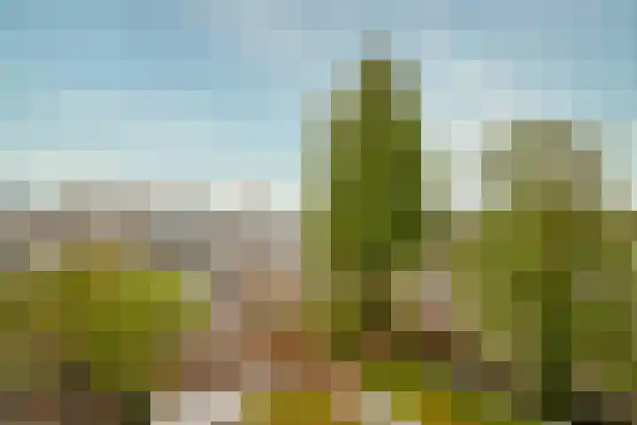 Simon Stevinstraat 10 3 Amsterdam thumbnail 25