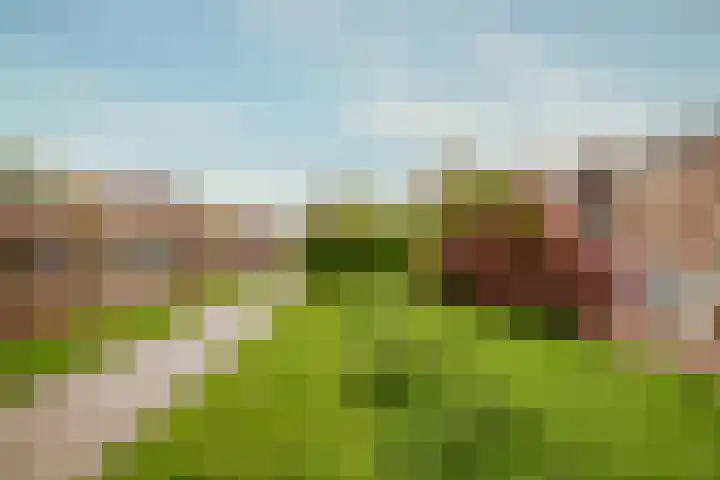 Simon Stevinstraat 10 3 Amsterdam thumbnail 29