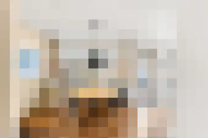 Simon Stevinstraat 15 Vlissingen thumbnail 10