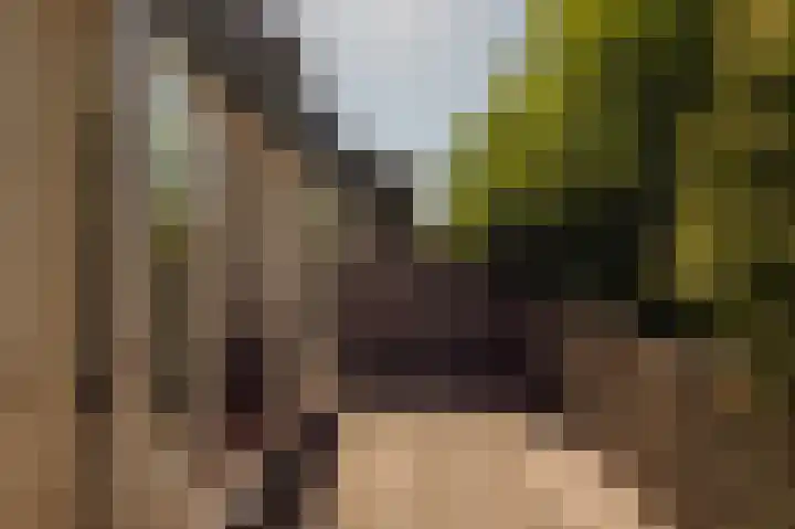 Simon Stevinstraat 16 A Amsterdam thumbnail 10