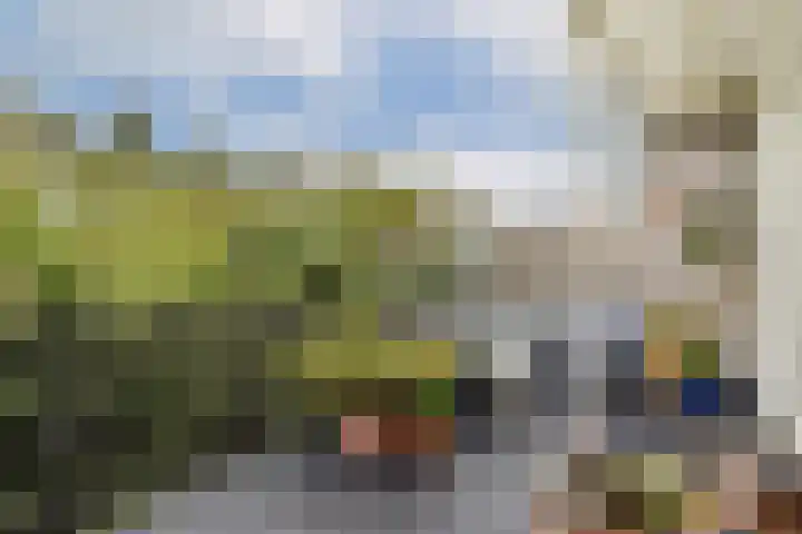 Simon Stevinstraat 18 1 Amsterdam thumbnail 16