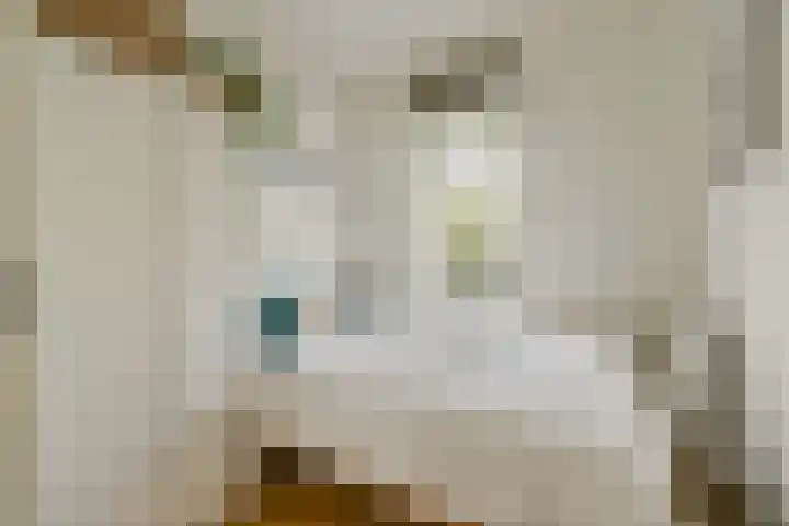 Simon Stevinstraat 18 1 Amsterdam thumbnail 19
