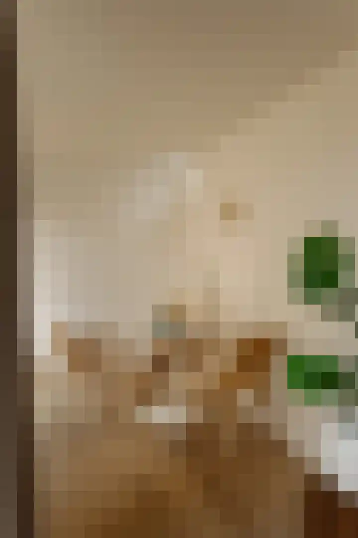 Simon Stevinstraat 3 2 Amsterdam thumbnail 12