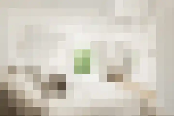 Simon Stevinstraat 3 3 Amsterdam thumbnail 12