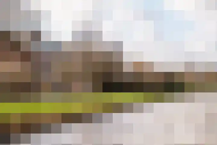 Simon Stevinstraat 3 H Amsterdam thumbnail 38