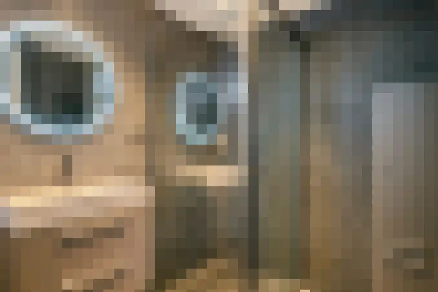 Simon Stevinstraat 32 Tilburg thumbnail 11