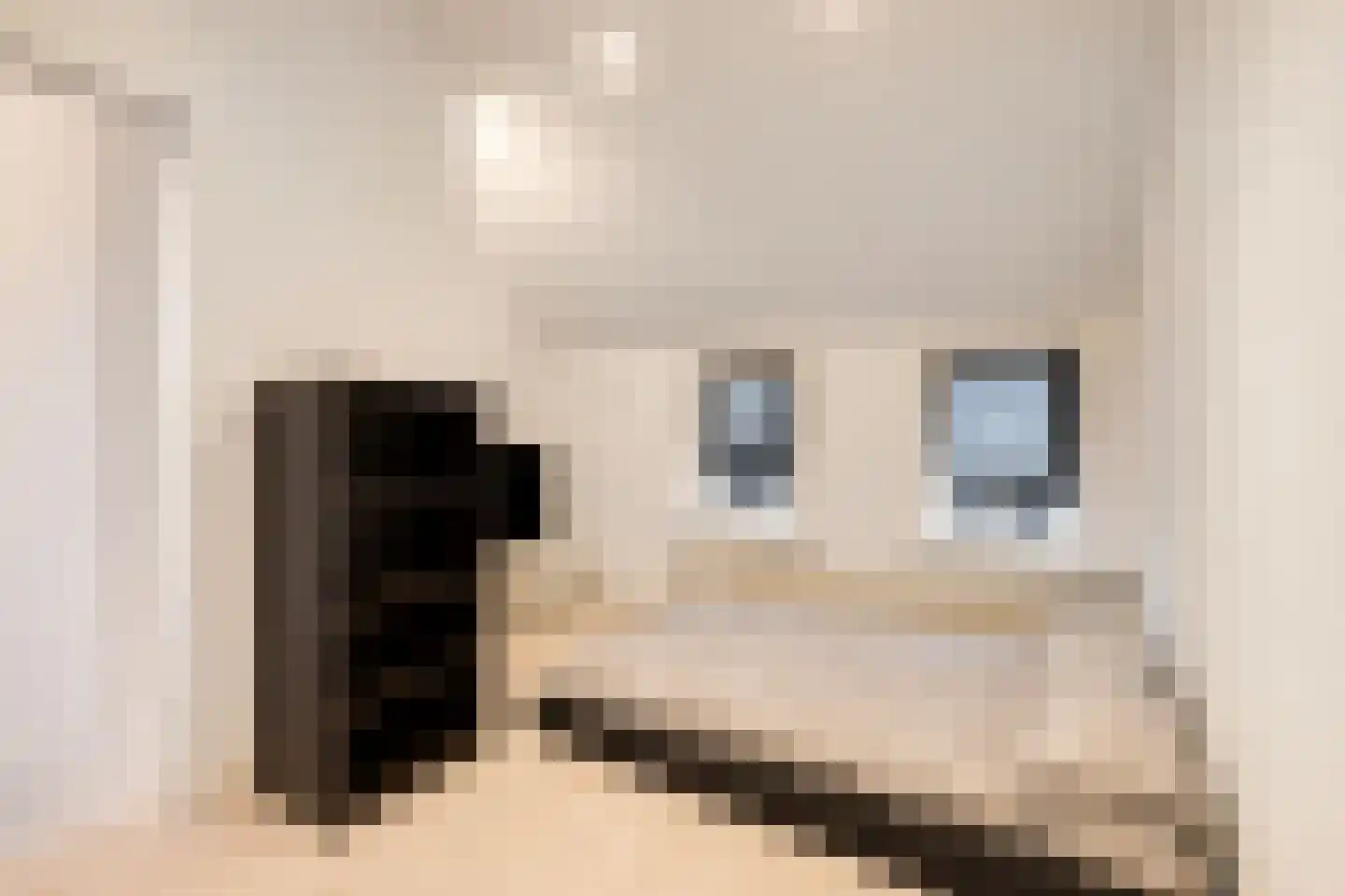 Simon Stevinstraat 32 Tilburg thumbnail 17