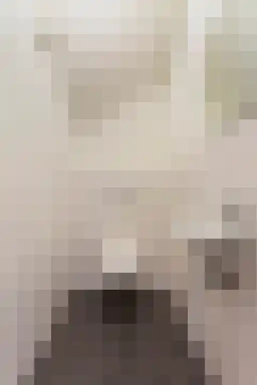 Simon Stevinstraat 33 2 Amsterdam thumbnail 15