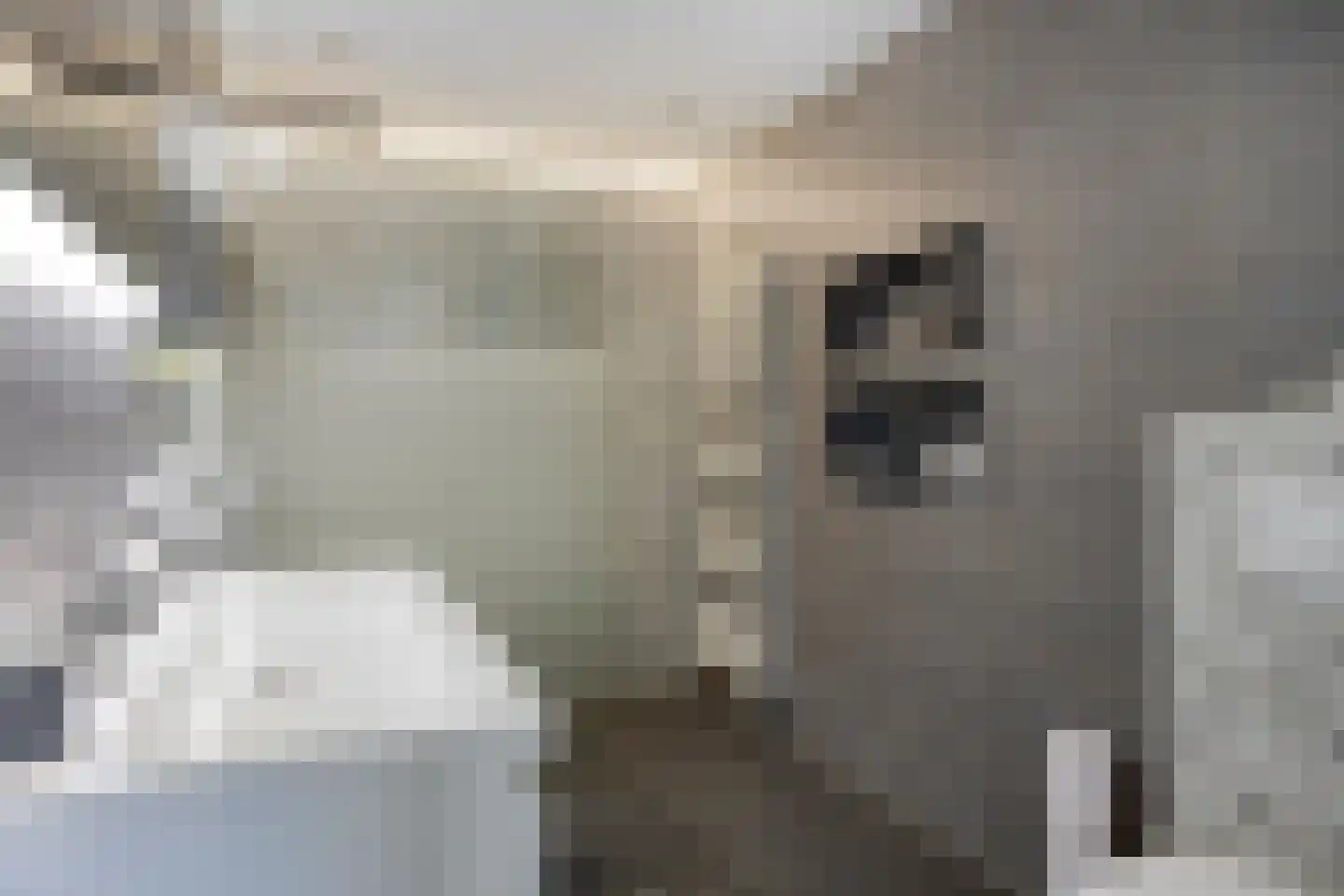 Simon Stevinstraat 38 Tilburg thumbnail 21