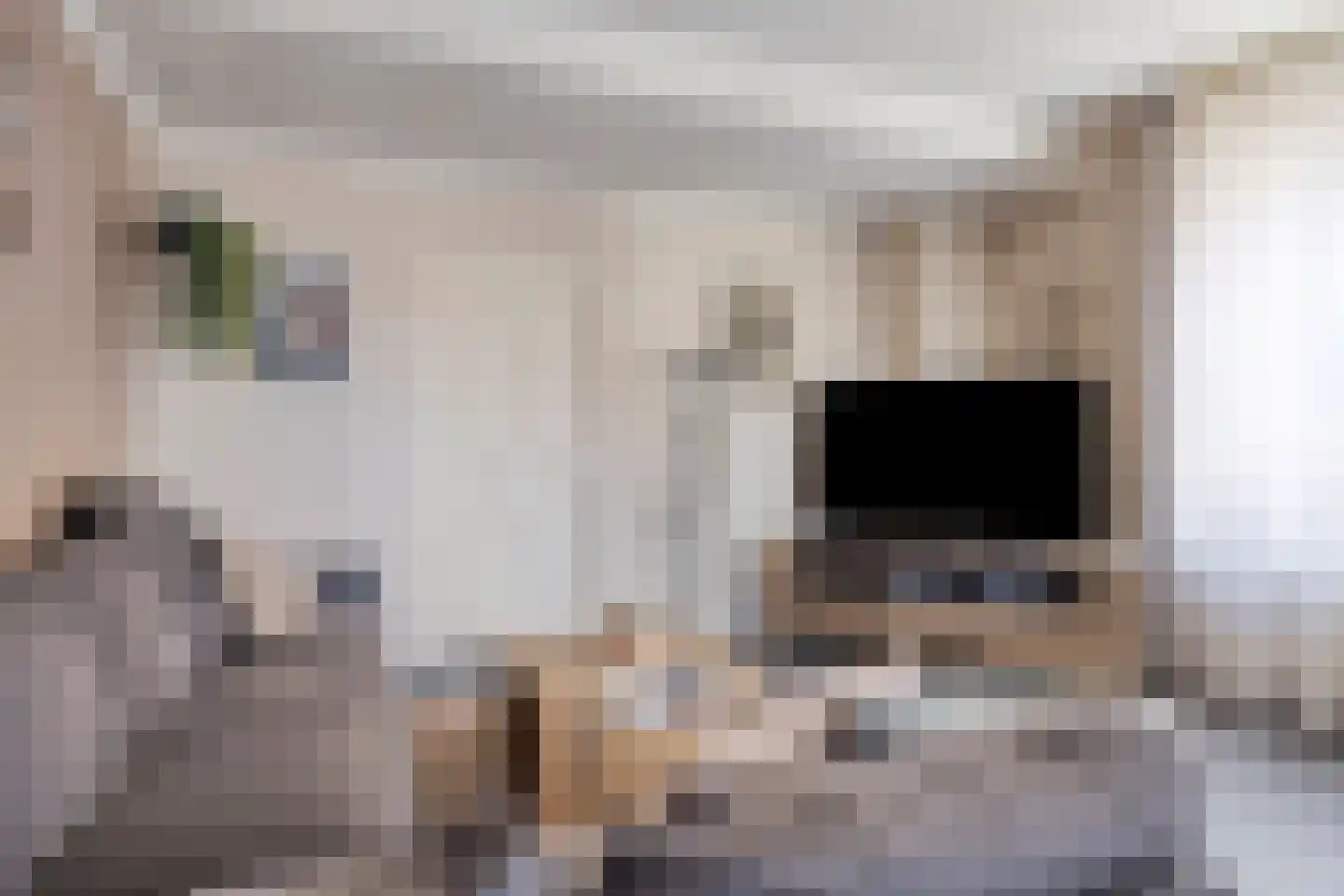Simon Stevinstraat 38 Tilburg thumbnail 6