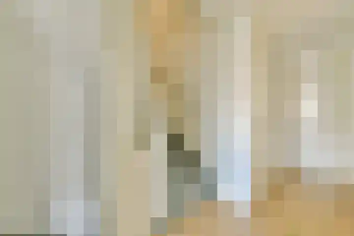 Simon Stevinstraat 40 2 Amsterdam thumbnail 12