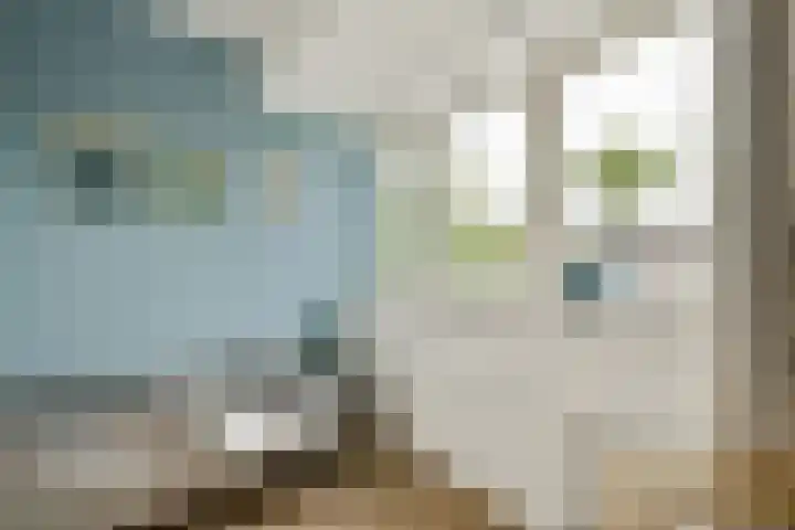 Simon Stevinstraat 40 2 Amsterdam thumbnail 15