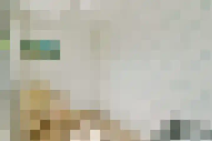 Simon Stevinstraat 40 2 Amsterdam thumbnail 16