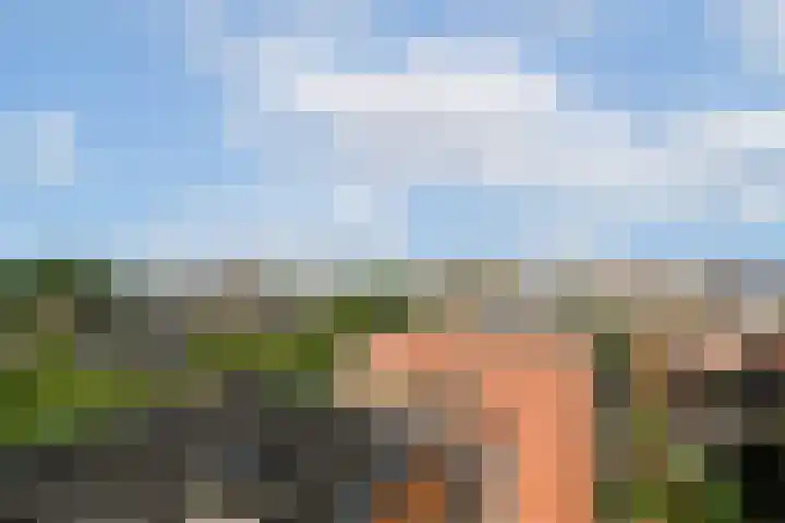 Simon Stevinstraat 40 2 Amsterdam thumbnail 30
