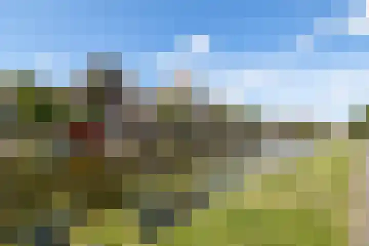 Simon Stevinstraat 40 2 Amsterdam thumbnail 31