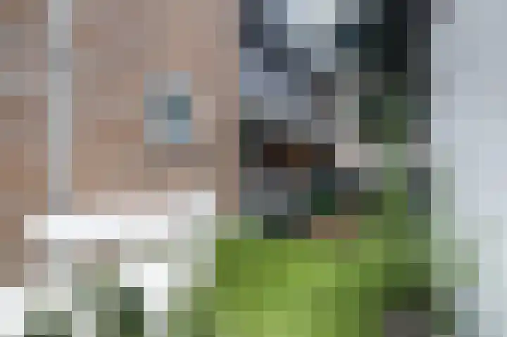Simon Stevinstraat 44 Schiedam thumbnail 10