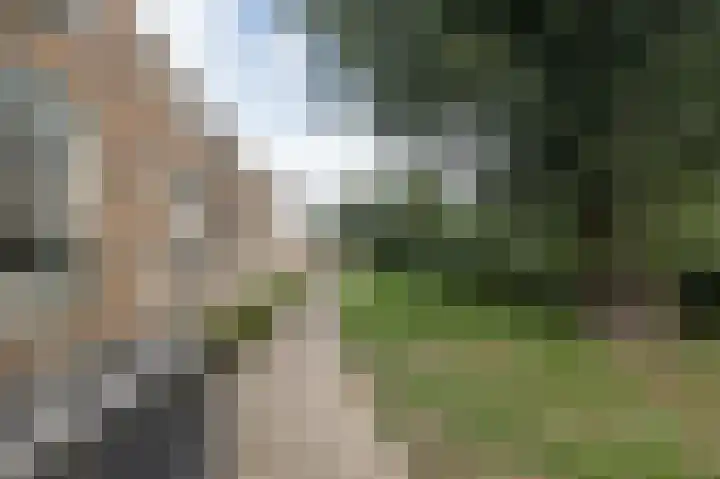 Simon Stevinstraat 44 Schiedam thumbnail 13