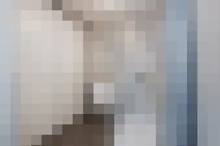 Simon Stevinstraat 44 Schiedam thumbnail 8