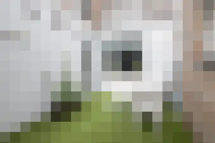 Simon Stevinstraat 44 Schiedam thumbnail 9