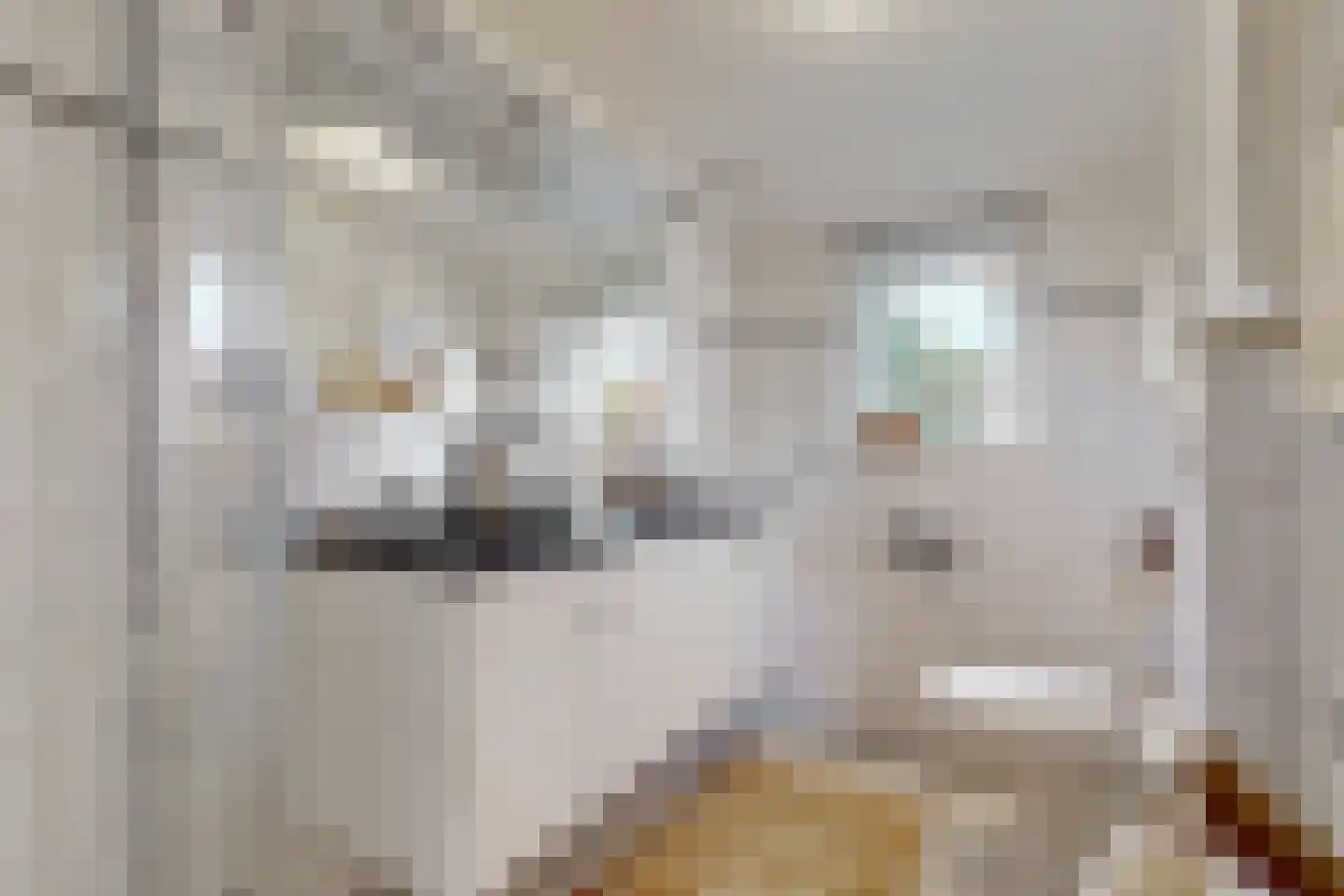 Simon Stevinweg 103 Hilversum thumbnail 35