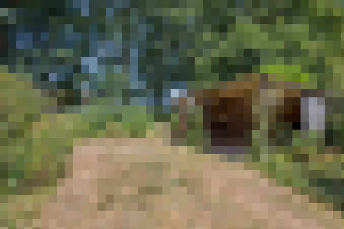 Simon Stevinweg 11 Rhenen thumbnail 20