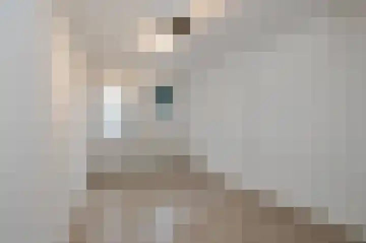 Simon Stevinweg 33 Hilversum thumbnail 11