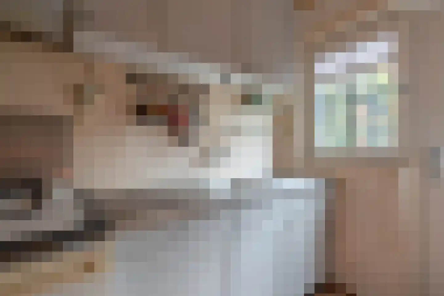 Simon Stevinweg 4 A Bussum thumbnail 12