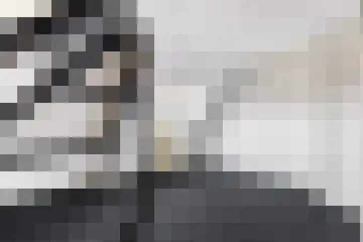 Simon Stevinweg 4 Hilversum thumbnail 42