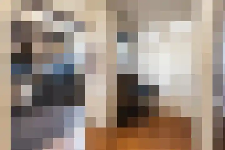 Simon Stevinweg 4 Hilversum thumbnail 6
