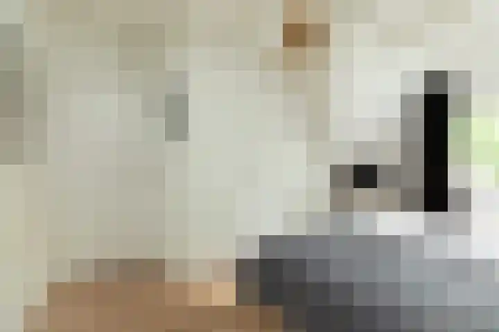 Simon Stevinweg 71 Hilversum thumbnail 19