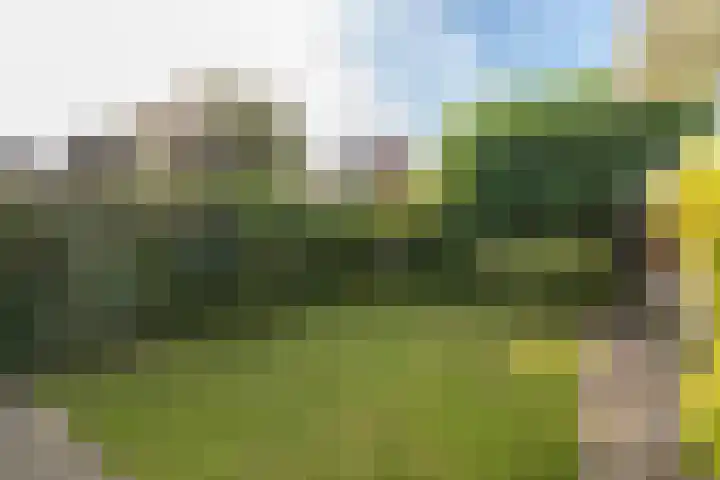 Simon Stevinweg 71 Hilversum thumbnail 35