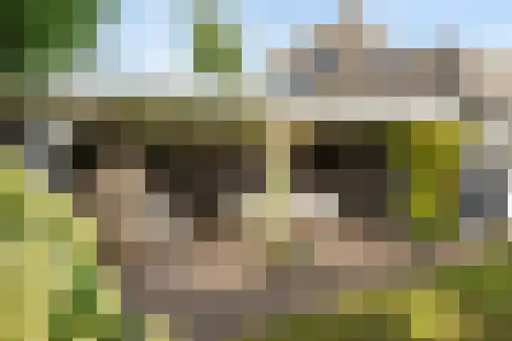 Simon Stevinweg 71 Hilversum thumbnail 36