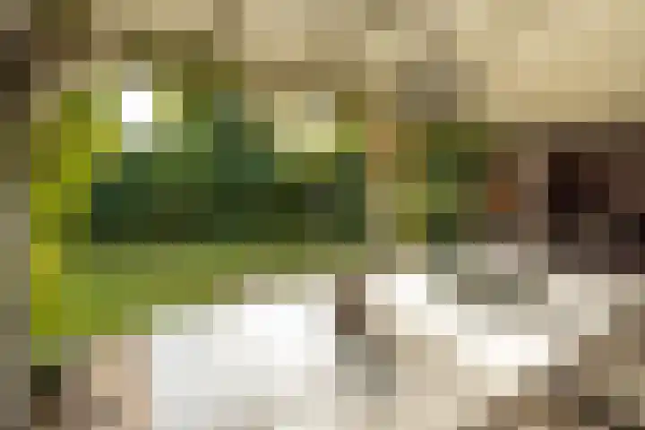 Simon Stevinweg 71 Hilversum thumbnail 37