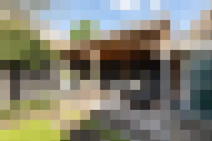 Simon Stevinweg 75 Hilversum thumbnail 27