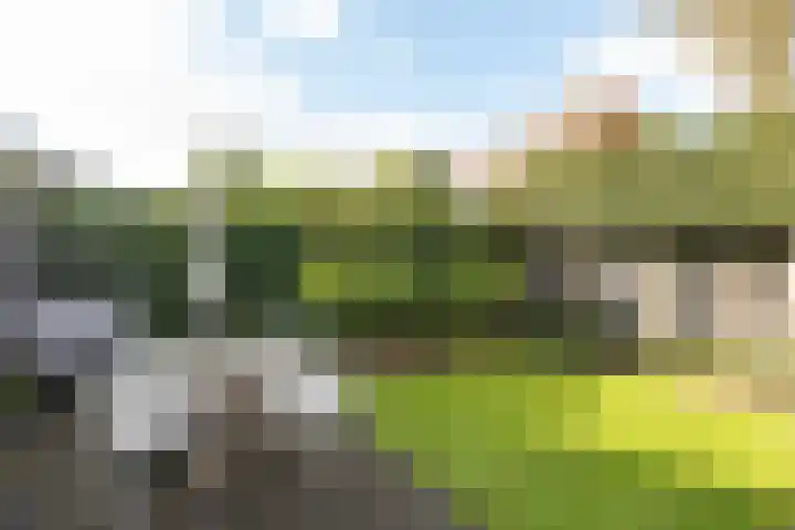 Simon Stevinweg 75 Hilversum thumbnail 29