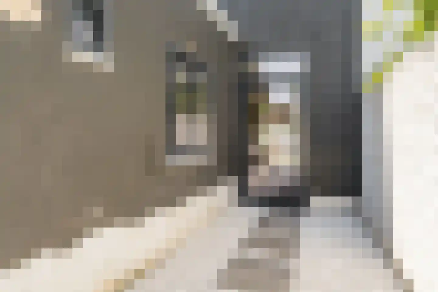 Simon Stevinweg 8 Hilversum thumbnail 22