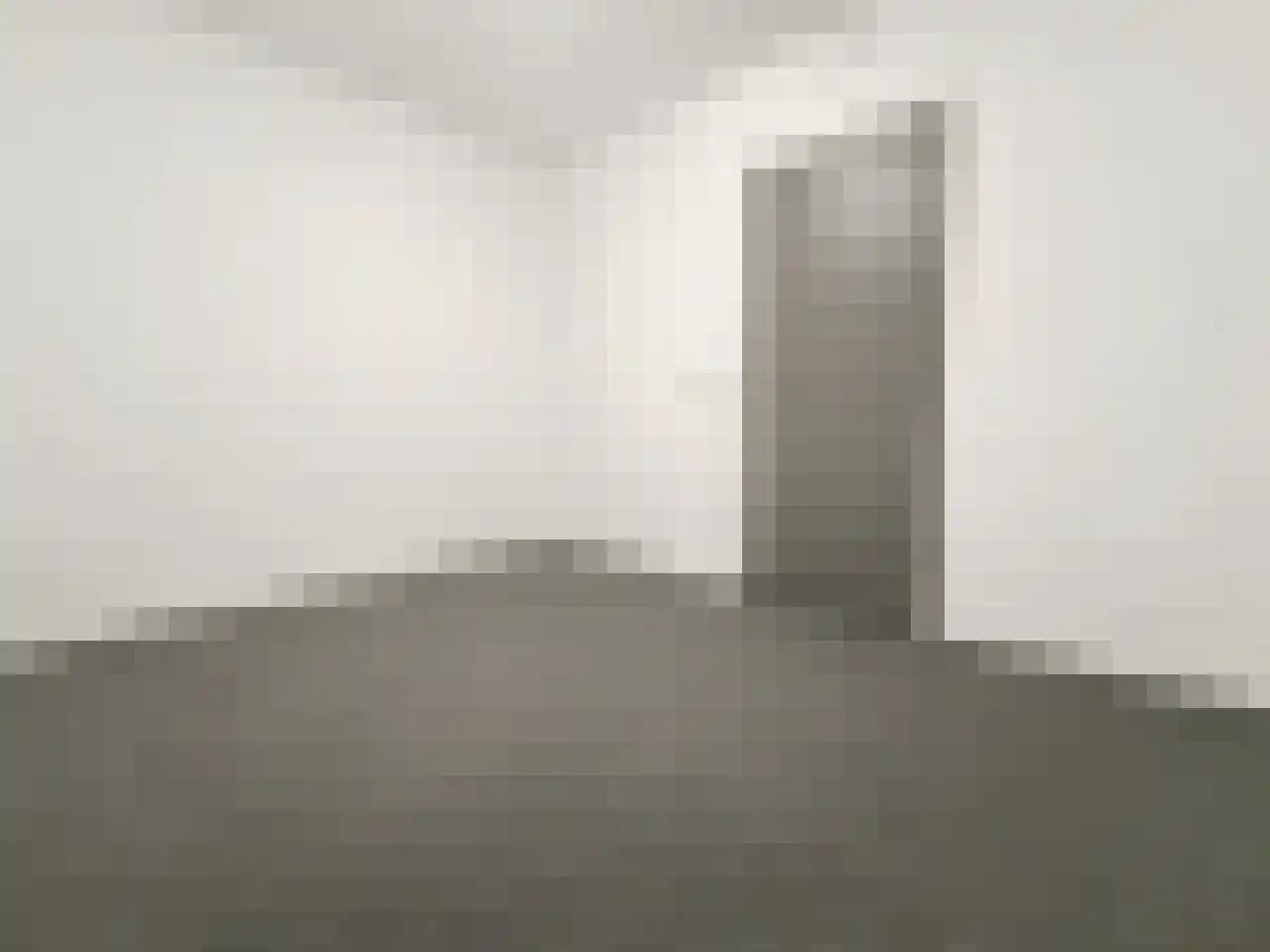 Simon Stevinweg 8 Rhenen thumbnail 22