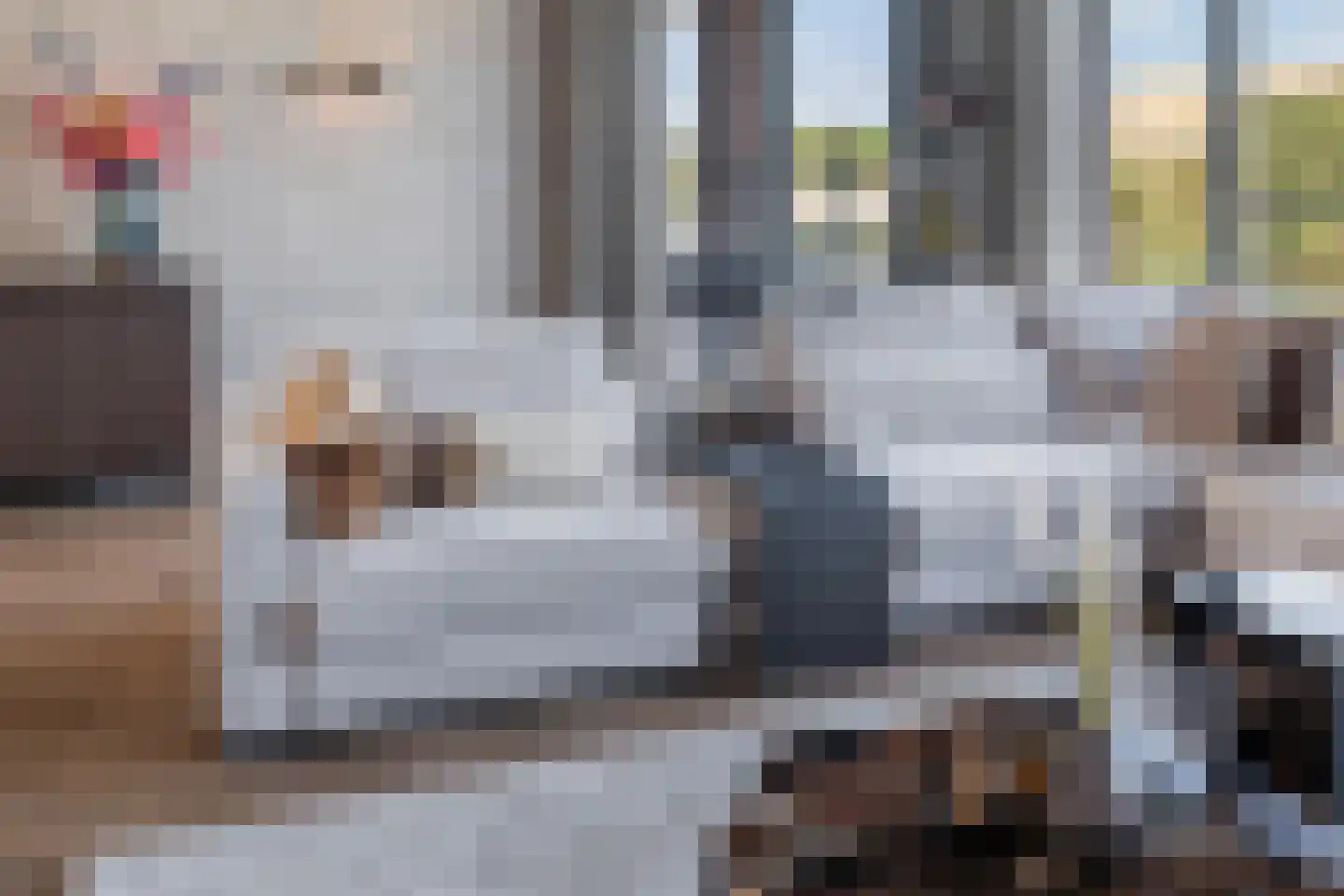 Simon v Slingerlandtstraat 4 D Naaldwijk thumbnail 11