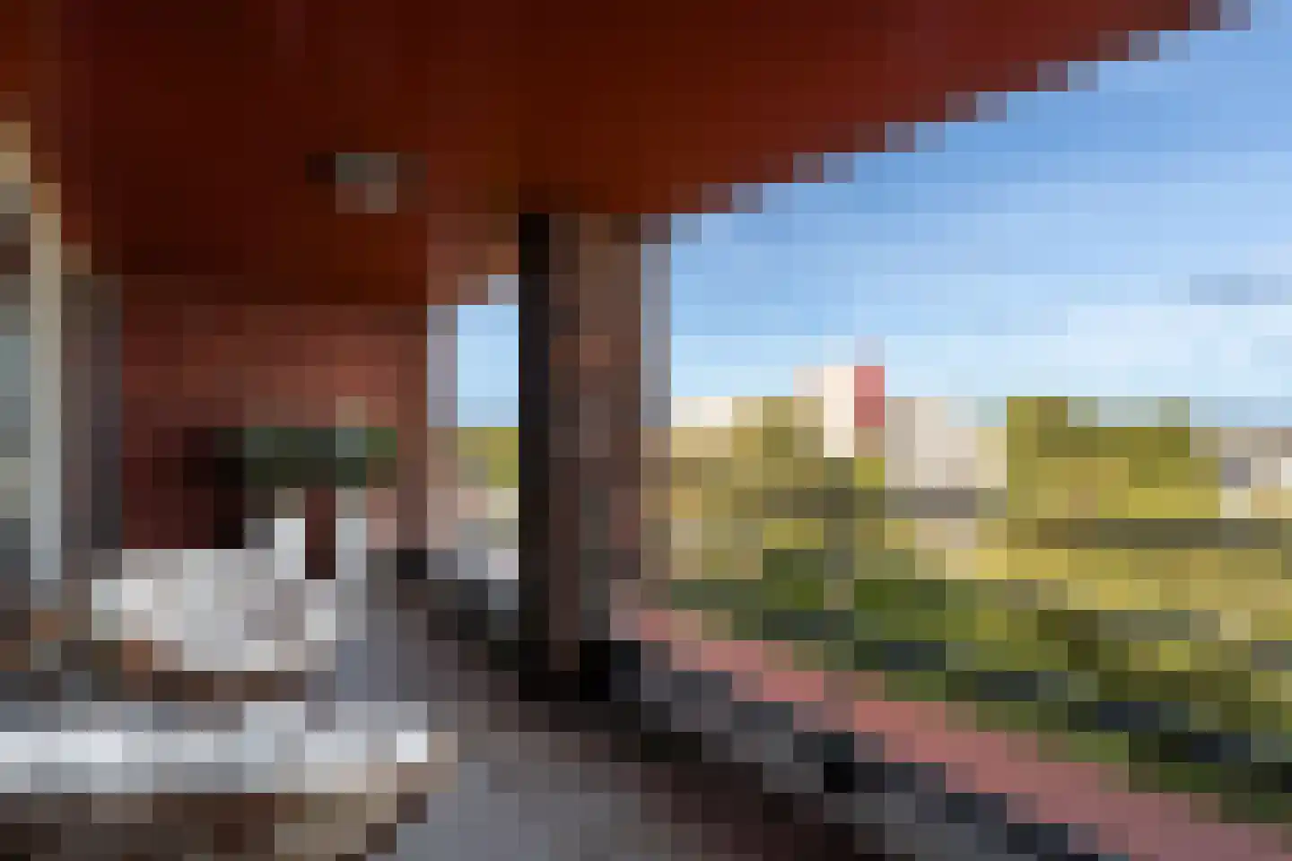 Simon v Slingerlandtstraat 4 D Naaldwijk thumbnail 15