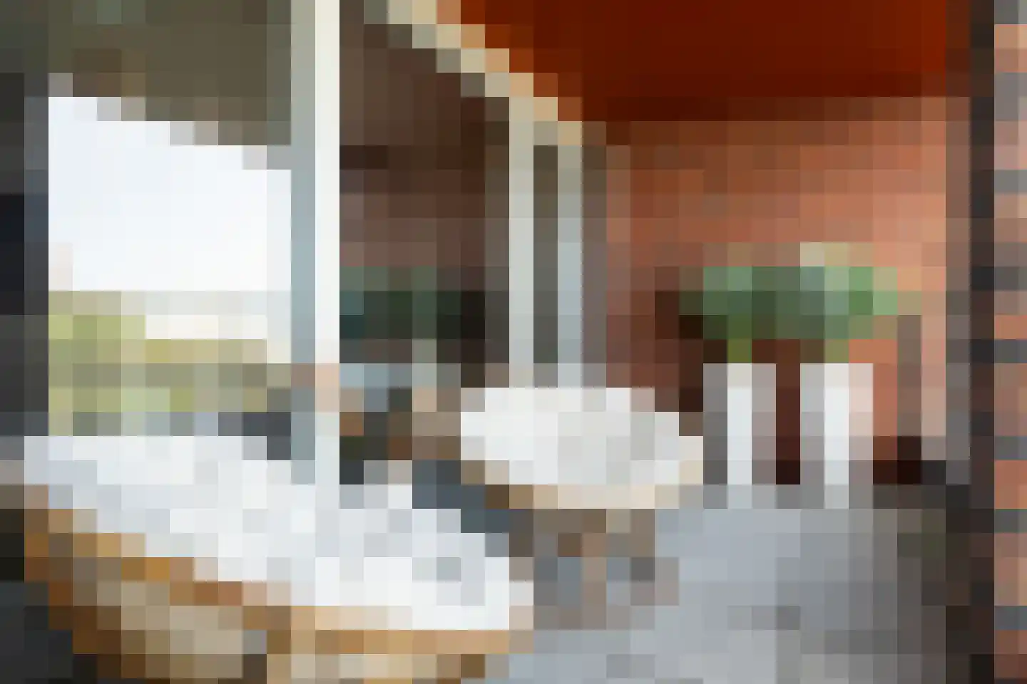 Simon v Slingerlandtstraat 4 D Naaldwijk thumbnail 16